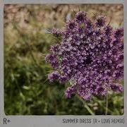 R Plus Dido Summer Dress R Love Remix Official Audio