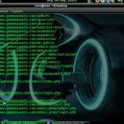 Find Admin в Kali Linux