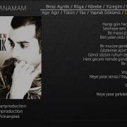 Gökhan Türkmen Dayanamam Official Lyric Video