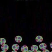 Trans2D Farseer Pyhsics
