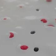 Yogurt And Berries