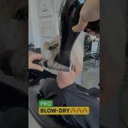 PRO BLOW DRY PIXIE BOB Complete Tutorial Linked Below