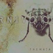Karnivool Shutterspeed Vocal Cover