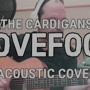 Lovefool The Cardigans Acoustic Cover Ben Akers