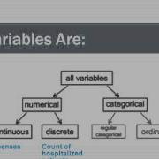 Data Matrix And Variable Types
