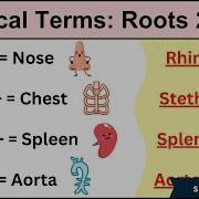 Medical Terminology MADE EASY Root Words Part II Nursing Flash Cards