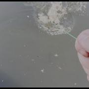 BATTLBOX Gear Testing Fishing With The SPEED HOOK