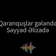 Qaranquslar Gelende Karaoke Seyyad Elizade Azerbaijani Karaoke