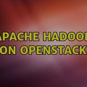 Ubuntu Apache Hadoop On OpenStack