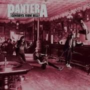 Pantera Domination C Standard Tuning PRESERVED QUALITY AND TIMBRE