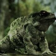 Crysis 3 CryEngine3 Tech Trailer