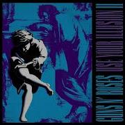 Guns N Roses 14 Years