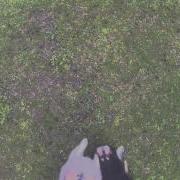 SteadiDrone Quad With AG400DD Brushless Gimbal Tilt Down Test RAW Footage