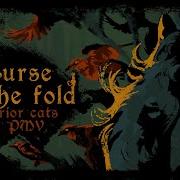 Curse Of The Fold Warrior Cats OC PMV