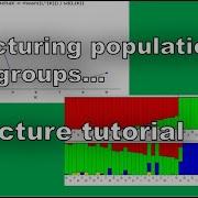 Learn To Structure Population Into Different Groups Check Structure Tutorial Here Thephdguy