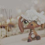 LPS FULL MEP You Belong To Me