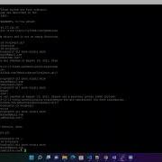 Introduction To GitHub Week 3 Coursera Google IT Automation With Python Password Problem Fix