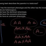 What Is A Test Cross