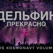 Дельфин Прекрасно Live Космонавт VOLUME 1 4K 17 11 2023