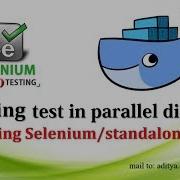 Execute Selenium Script Directly In Docker Using Selenium Standalone Parallel Testing In Docker