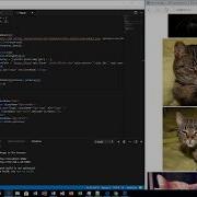 React Programming Flickr API Part 1