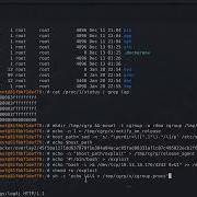 LumberJack Turtle Official TryHackMe Walkthrough