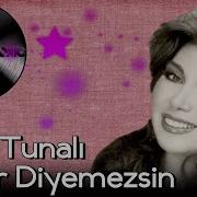 Ayşe Tunalı Kader Diyemezsin