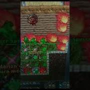 TRAP RIPPER TIBIA Shorts