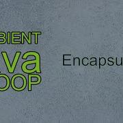 Encapsulation Exercise Java Advanced Ambient