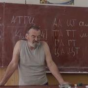 44 Генетический код кодоны триплеты Синонимы