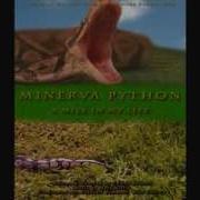 MINERVA PYTHON Teaser Trailer