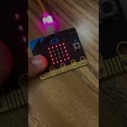 Coin Flip Microbit