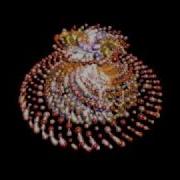 Particle Effects Using Maxscript Part 1