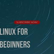 Linux For DevOps Beginners Course 2025 Linux Basic Commands Part 1 4