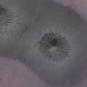 First Ever Detail Of Biological Components And Interactions Of The Human Body Fluids