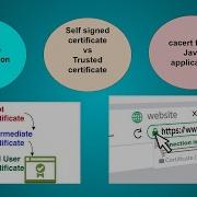 TLS SSL Certificate Basic Concepts HTTPS Reference For Developers