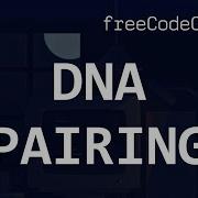 FreeCodeCamp Solutions DNA Pairing