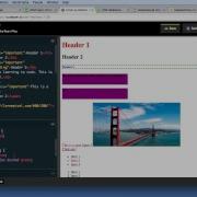 Web Development Mini Bootcamp Lesson 2