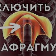 СПАЗМ ДИАФРАГМЫ НАПРЯЖЕНИЕ ПОЯСНИЦЫ ВАРИКОЗ ПАНИЧЕСКИЕ АТАКИ 2 эффективных упражнения