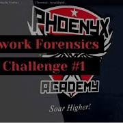 Network Forensics Challenge 1