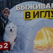 ПОСТРОИЛИ ИГЛУ в ЛЕСУ НОЧЬ ЗИМОЙ БЕЗ ПАЛАТКИ день 2