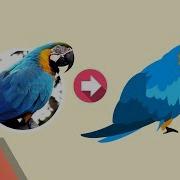 Inkscape Tutorial Vector Image Trace