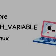 Linux Restore Path Variable Reset Path Variable