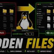 Как отобразить скрытые файлы в Linux руководство 2026 года