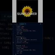 Using HTML And CSS Make Sunflower Animation Html Software Website Trending Programming Css Code