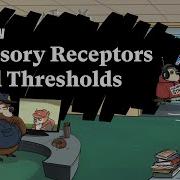 Sensory Receptors Thresholds Exploring Psychophysics Part 1 Sketchy MCAT