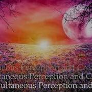 Simultaneous Perception And Creation