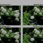 Image Blurring Example With OpenCV In Python