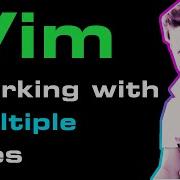 Vim Working With Multiple Files At The Same Time
