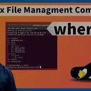 Whereis Command In Linux With Examples In Hindi Whereis Linux File Management Commands Class 13
